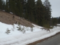 DSCF0808