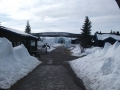 DSCF0811