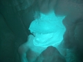 DSCF0907