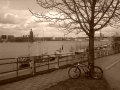 dsc08448