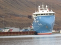 polarsyssel