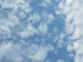 20180930_171712(0)