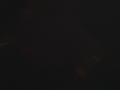 img113